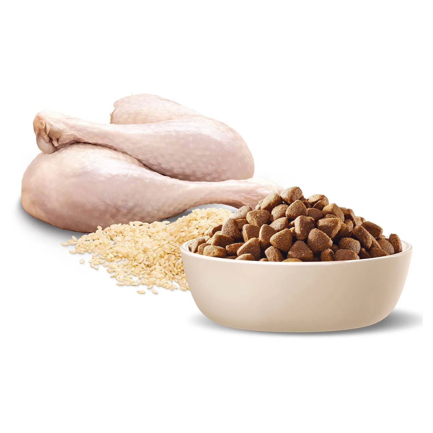 Advance Medium Breed Turkey & Rice Adult Dry Dog Food