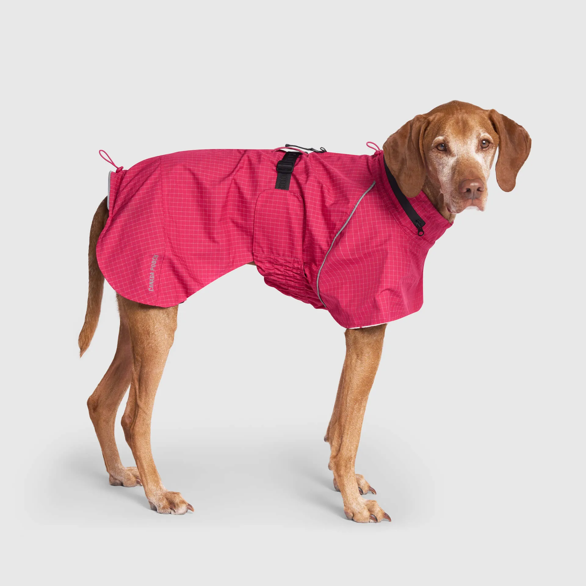 Complete Coverage Raincoat