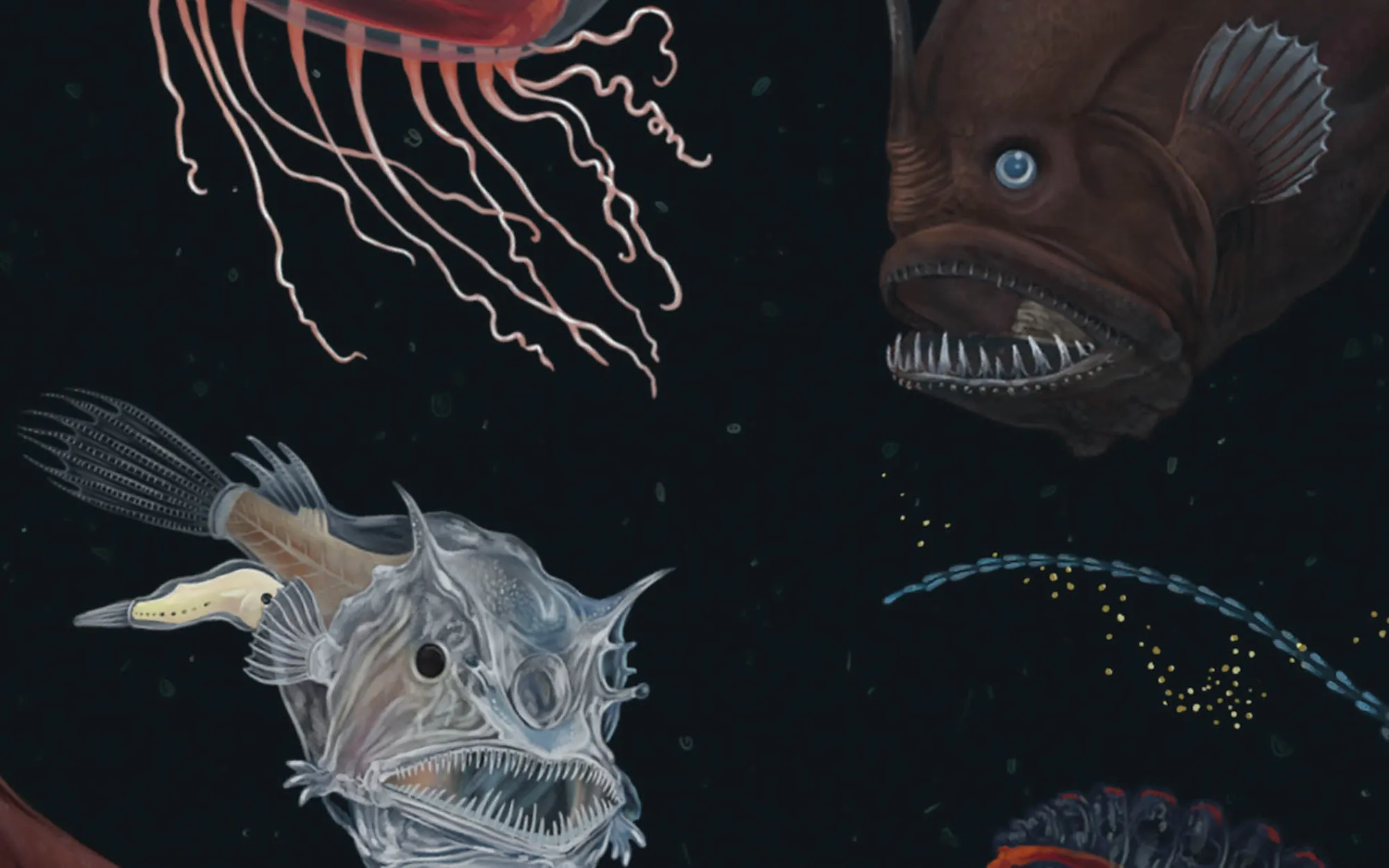 Deep Sea