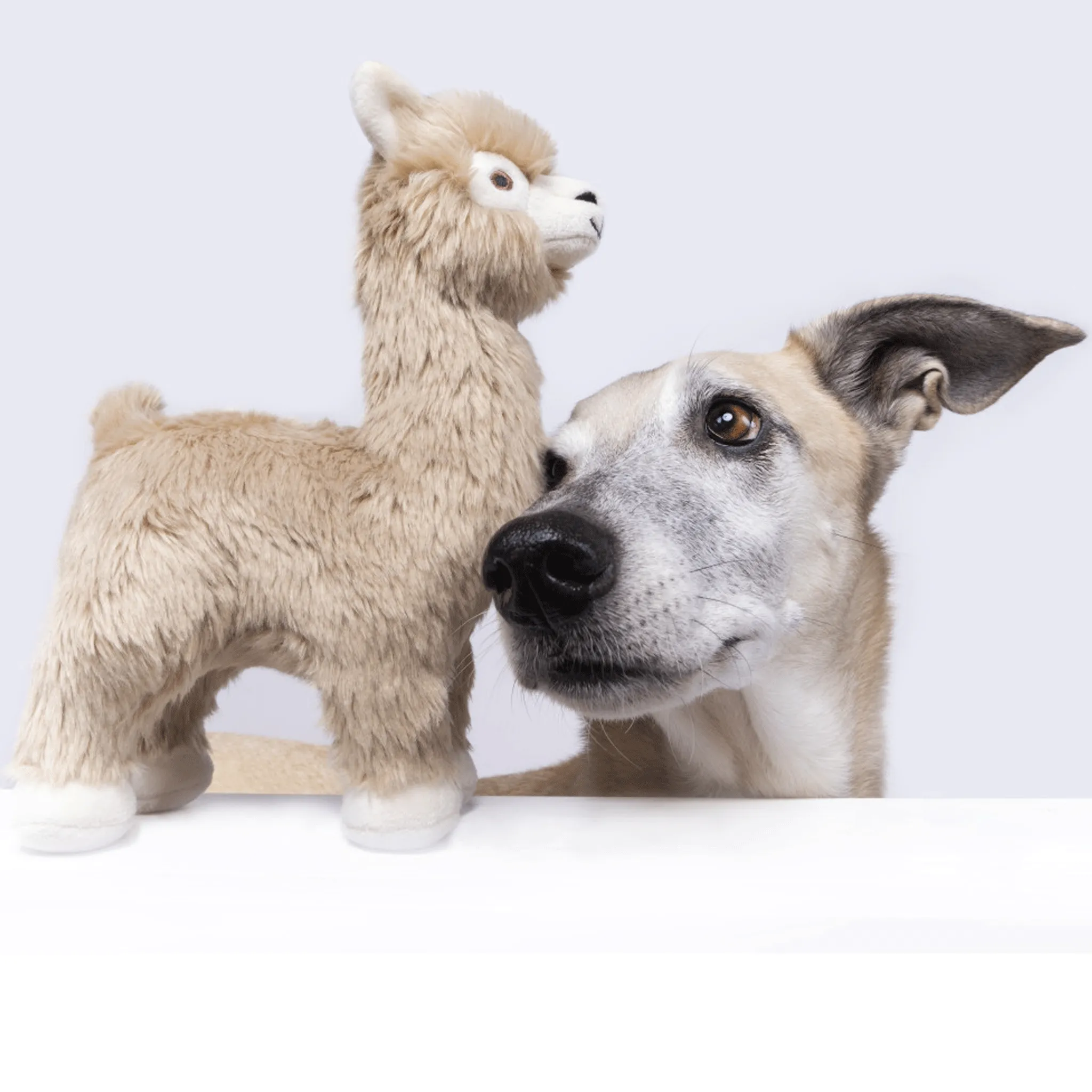 Fluff & Tuff Inca Alpaca Dog Toy