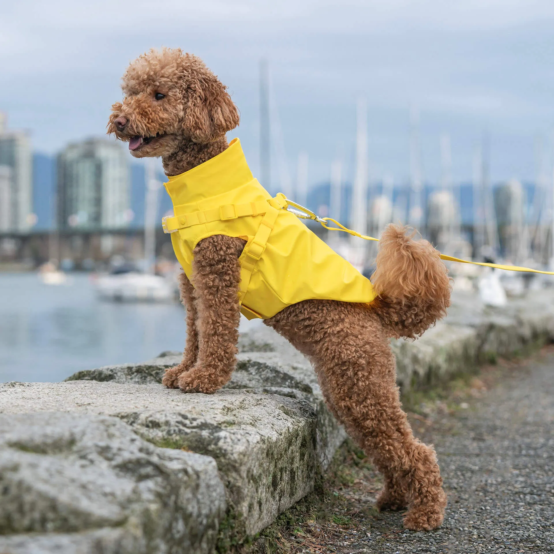 Harness Raincoat