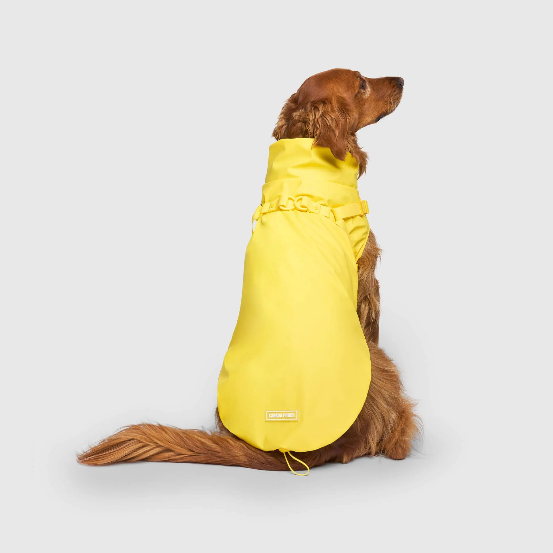 Harness Raincoat