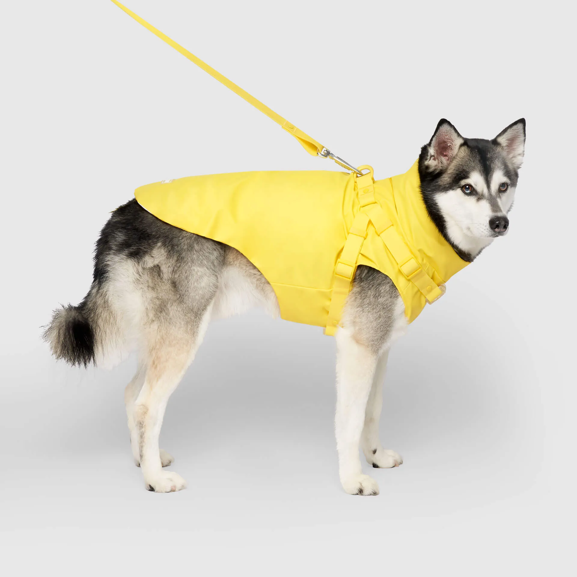 Harness Raincoat