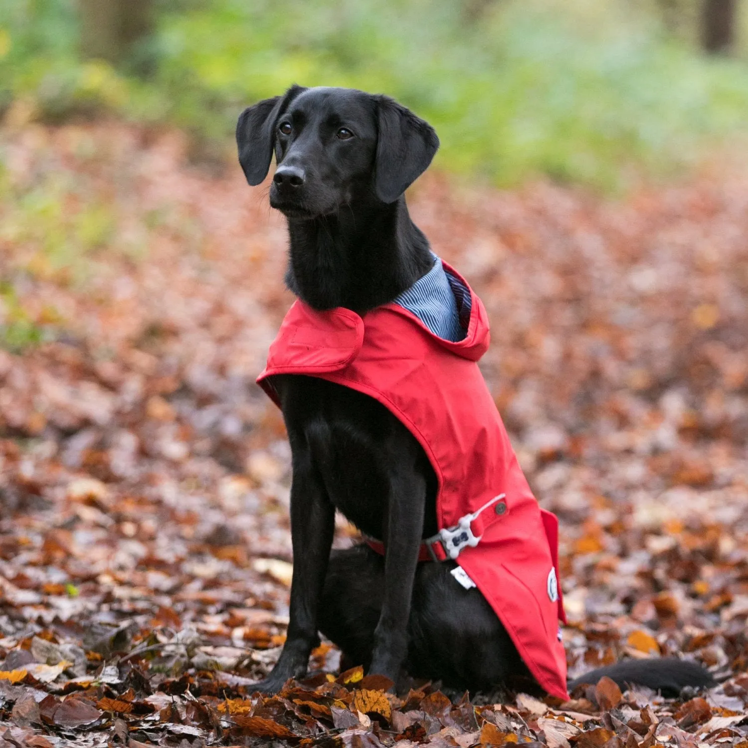 Hugo & Hudson Rain Coat for Dogs