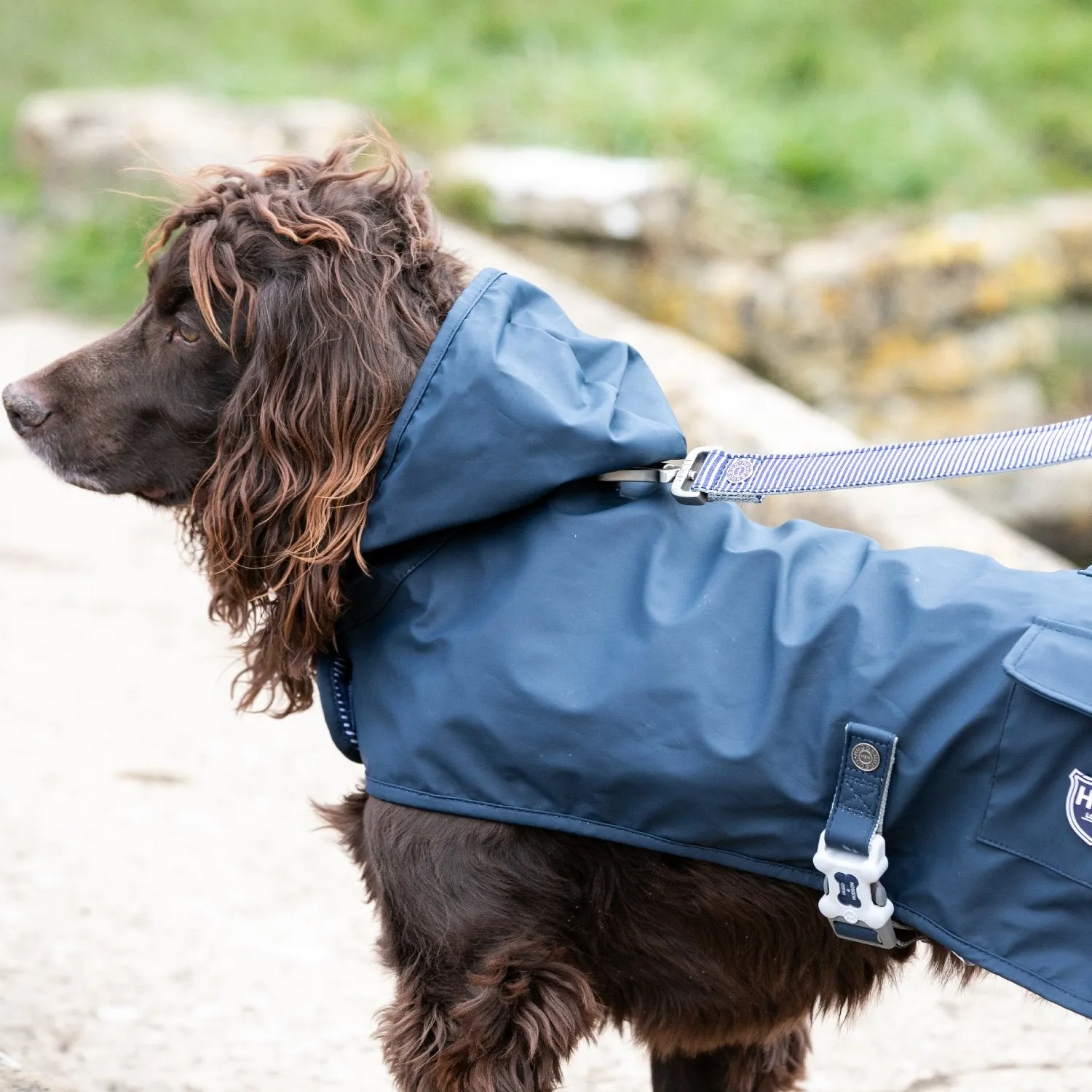 Hugo & Hudson Rain Coat for Dogs