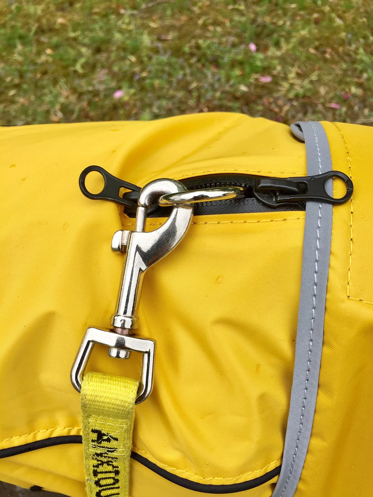 My Anxious Dog Yellow Raincoat 16"