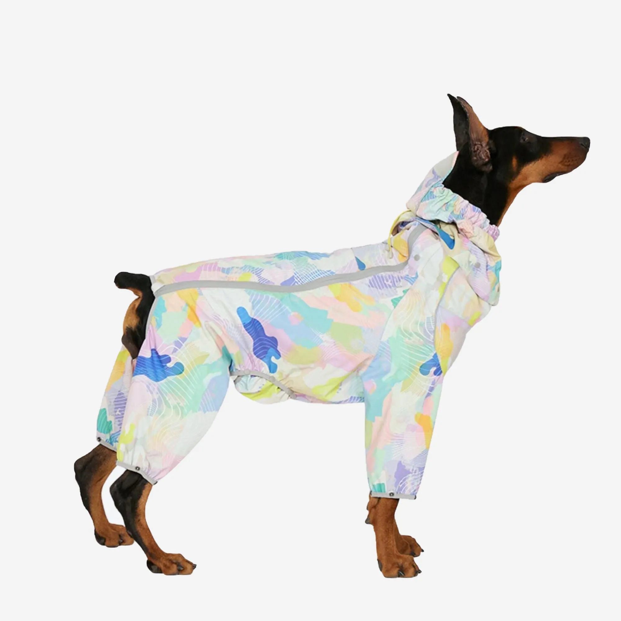 Rainbow Pop Hooded Dog Raincoat