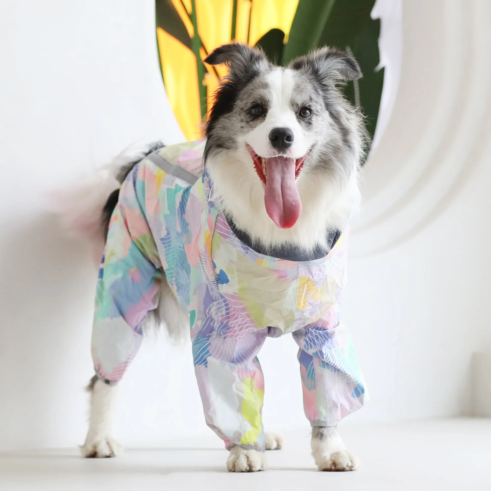 Rainbow Pop Hooded Dog Raincoat