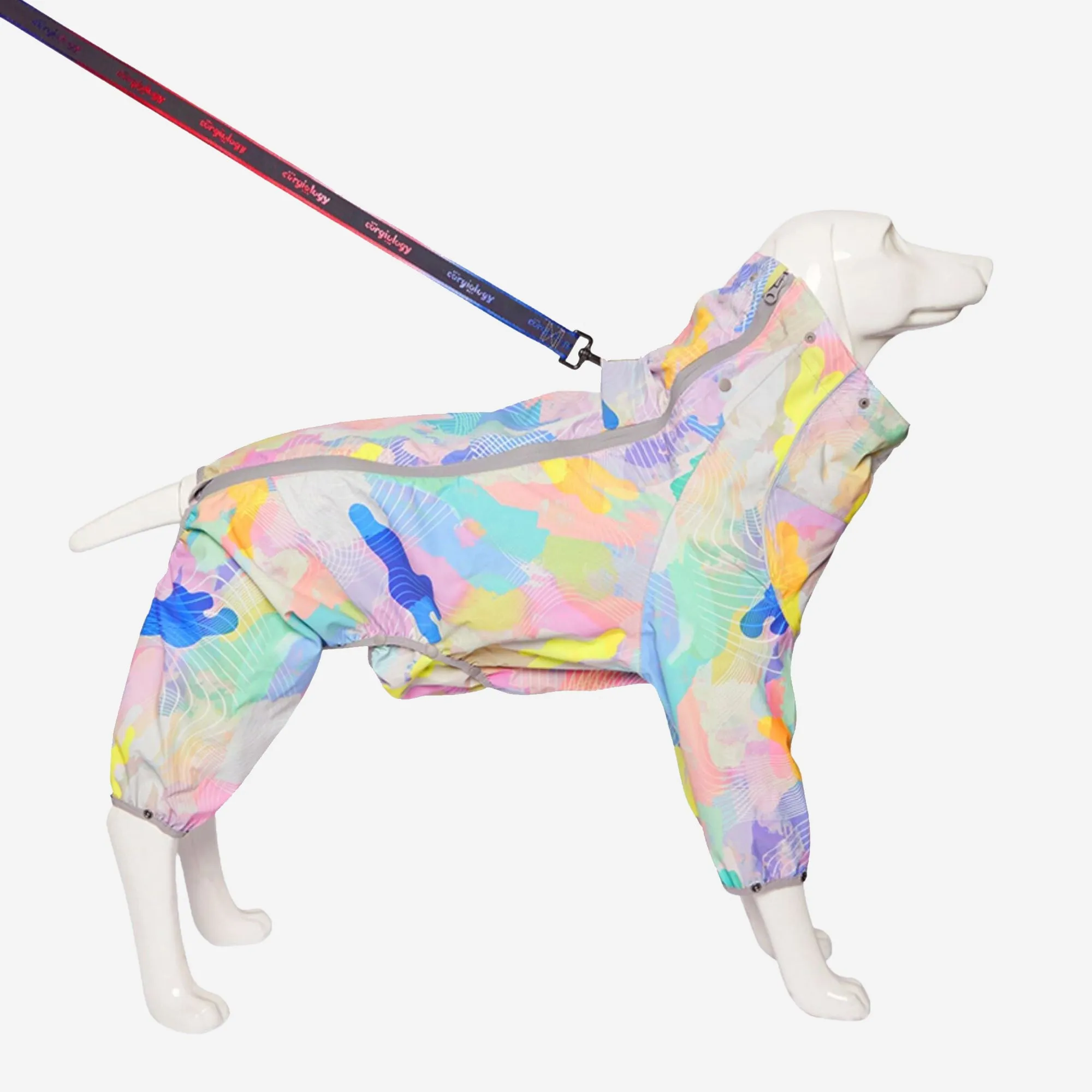 Rainbow Pop Hooded Dog Raincoat