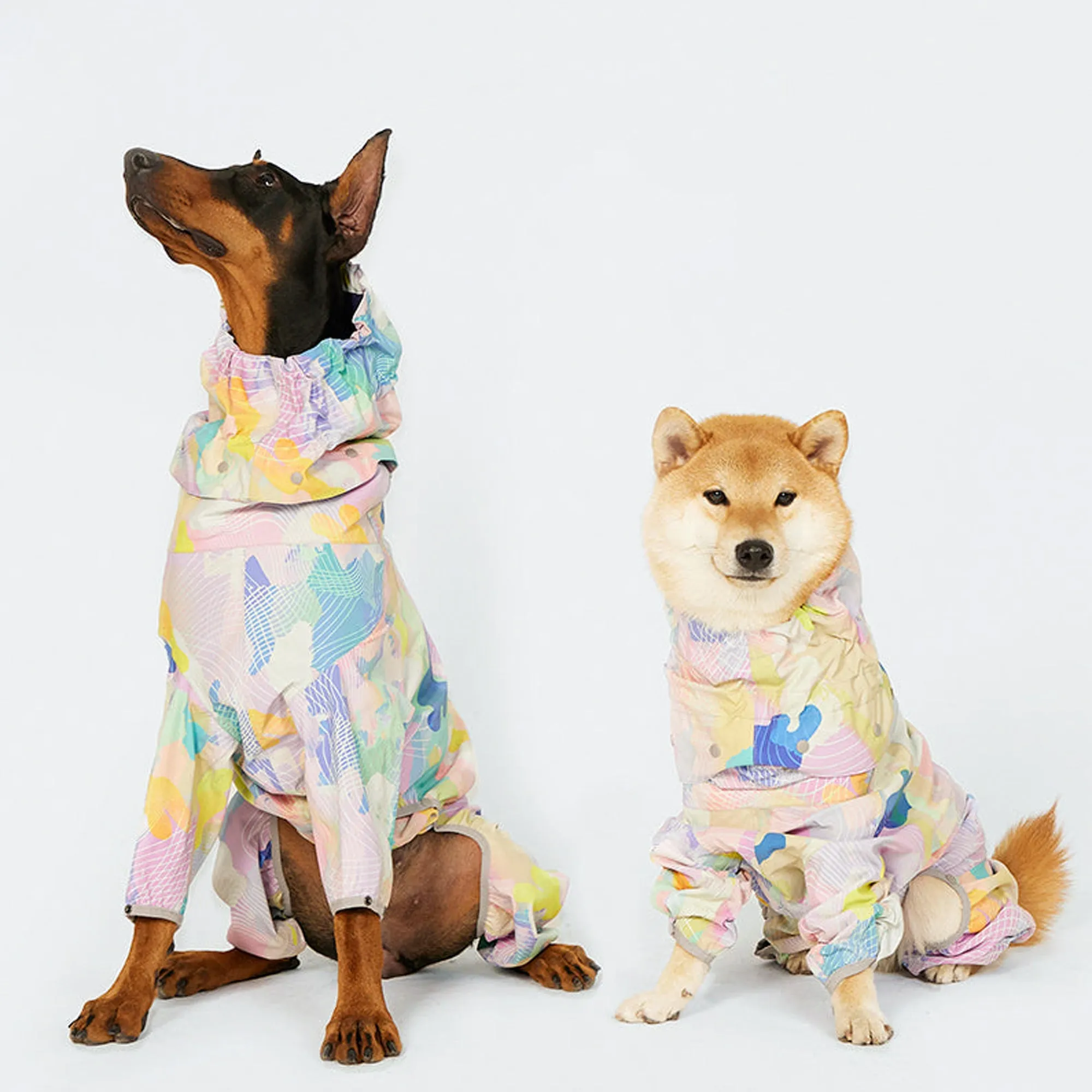 Rainbow Pop Hooded Dog Raincoat