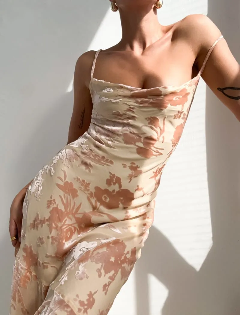 Santeria Maxi Dress | Blush Devore