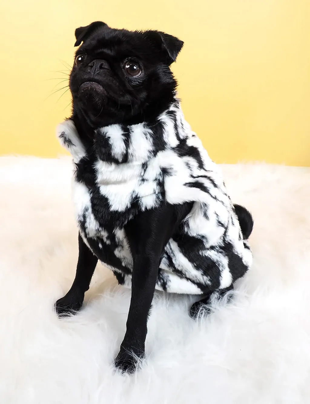 SNOW LEOPARD FAUX FUR DOG JACKET