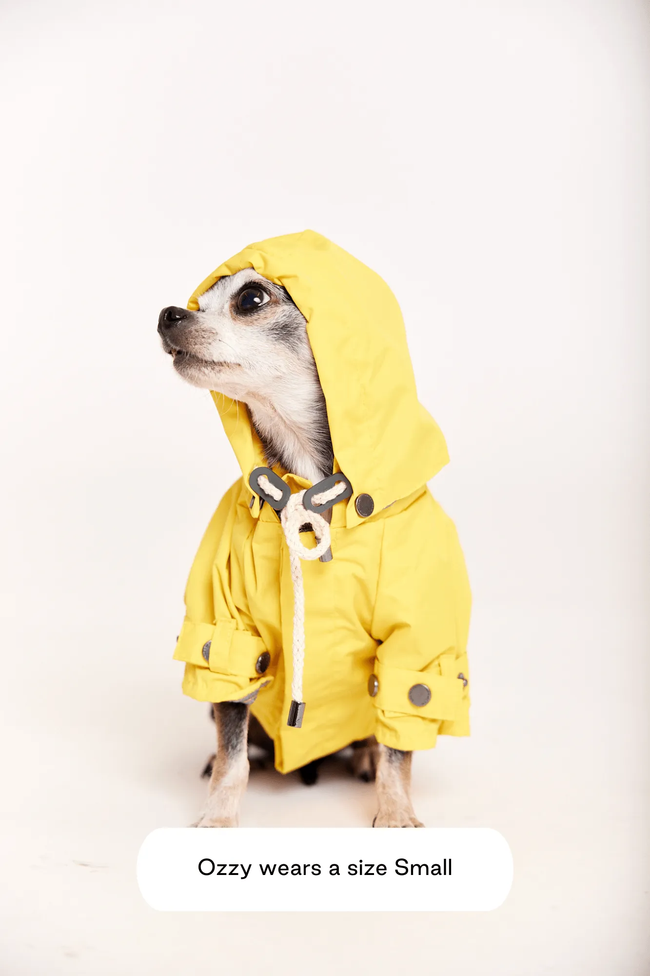 Talon Raincoat