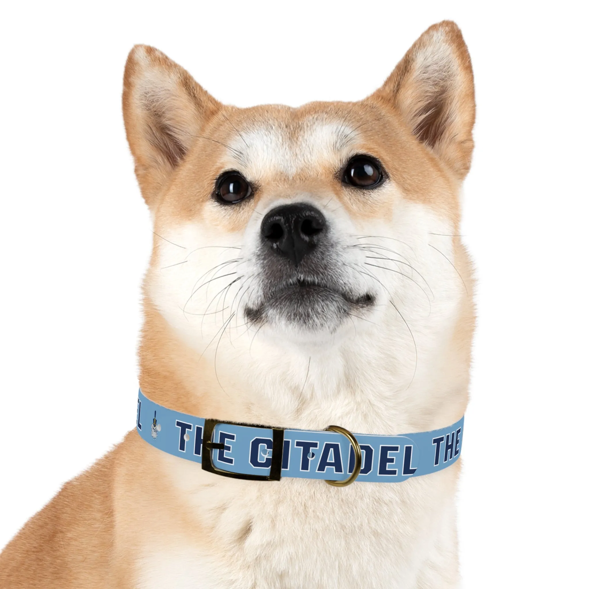 The Citadel, Spike, Dog Collar