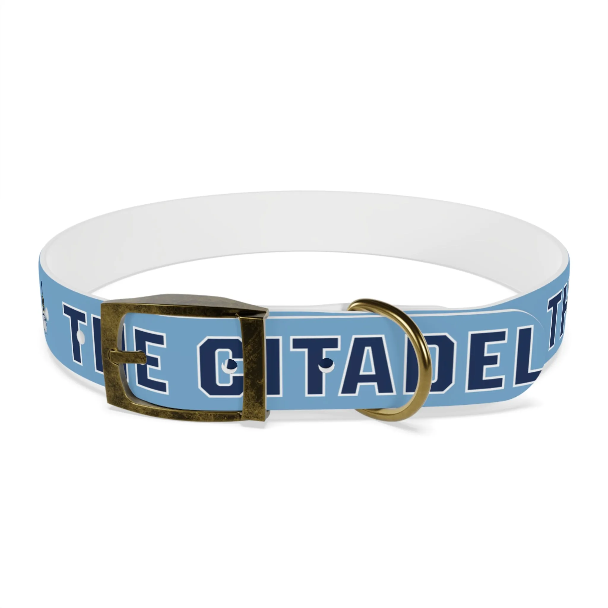 The Citadel, Spike, Dog Collar