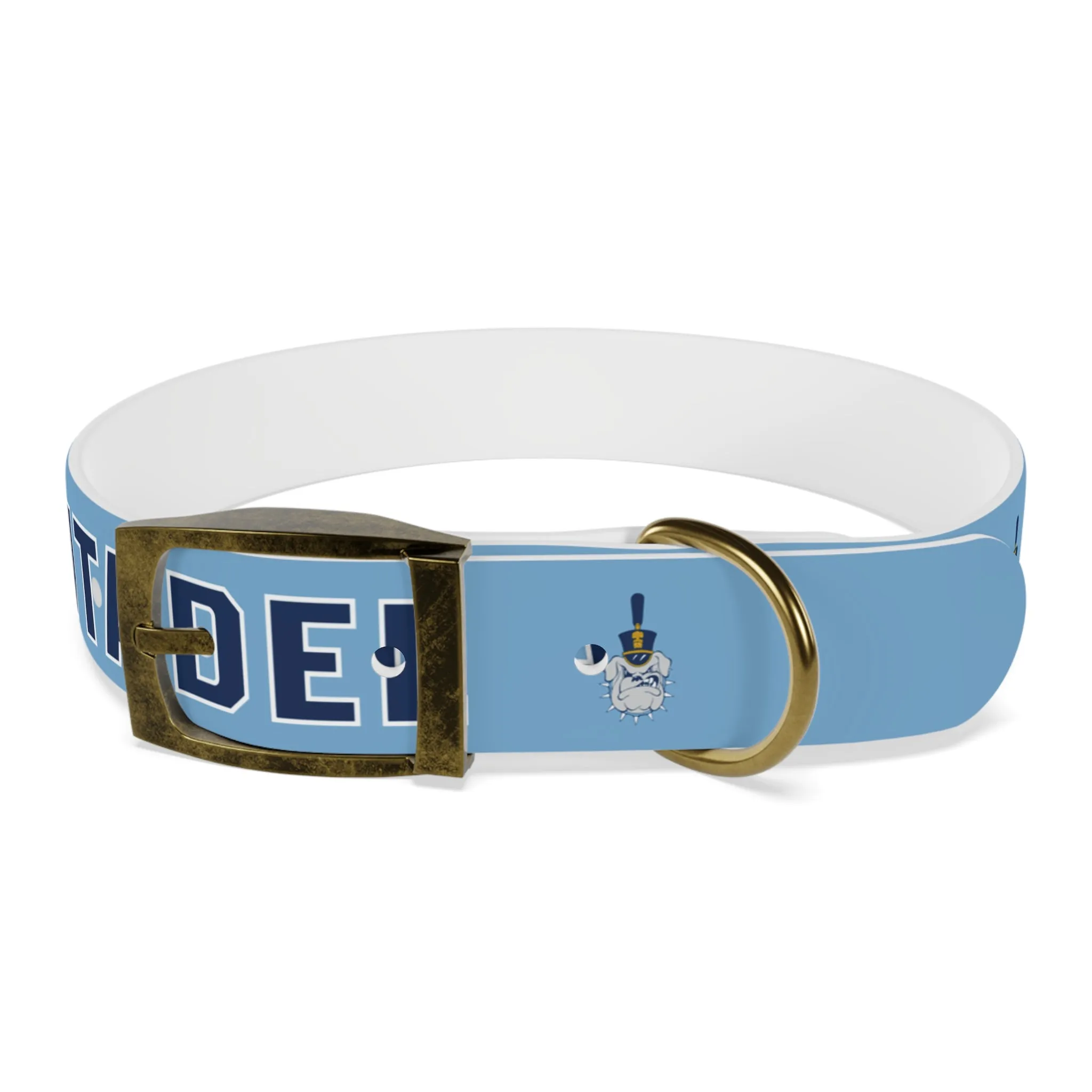 The Citadel, Spike, Dog Collar