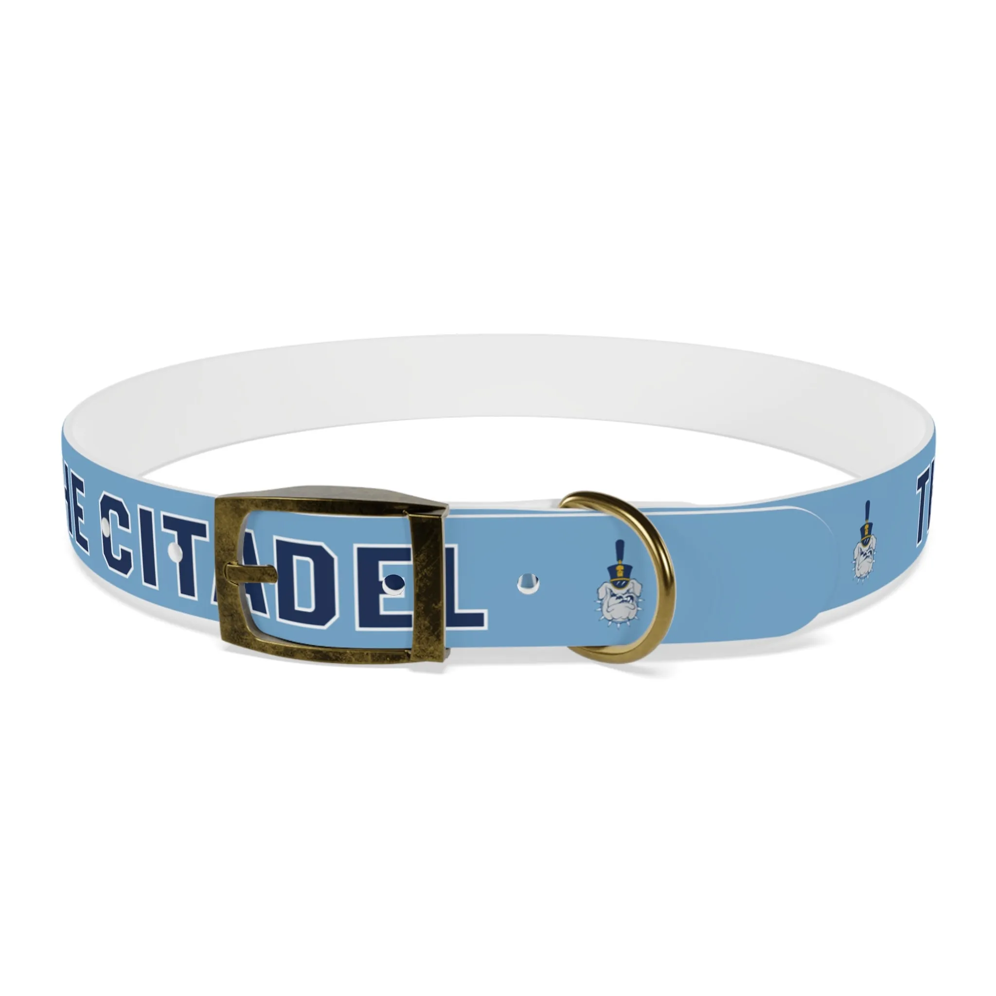 The Citadel, Spike, Dog Collar