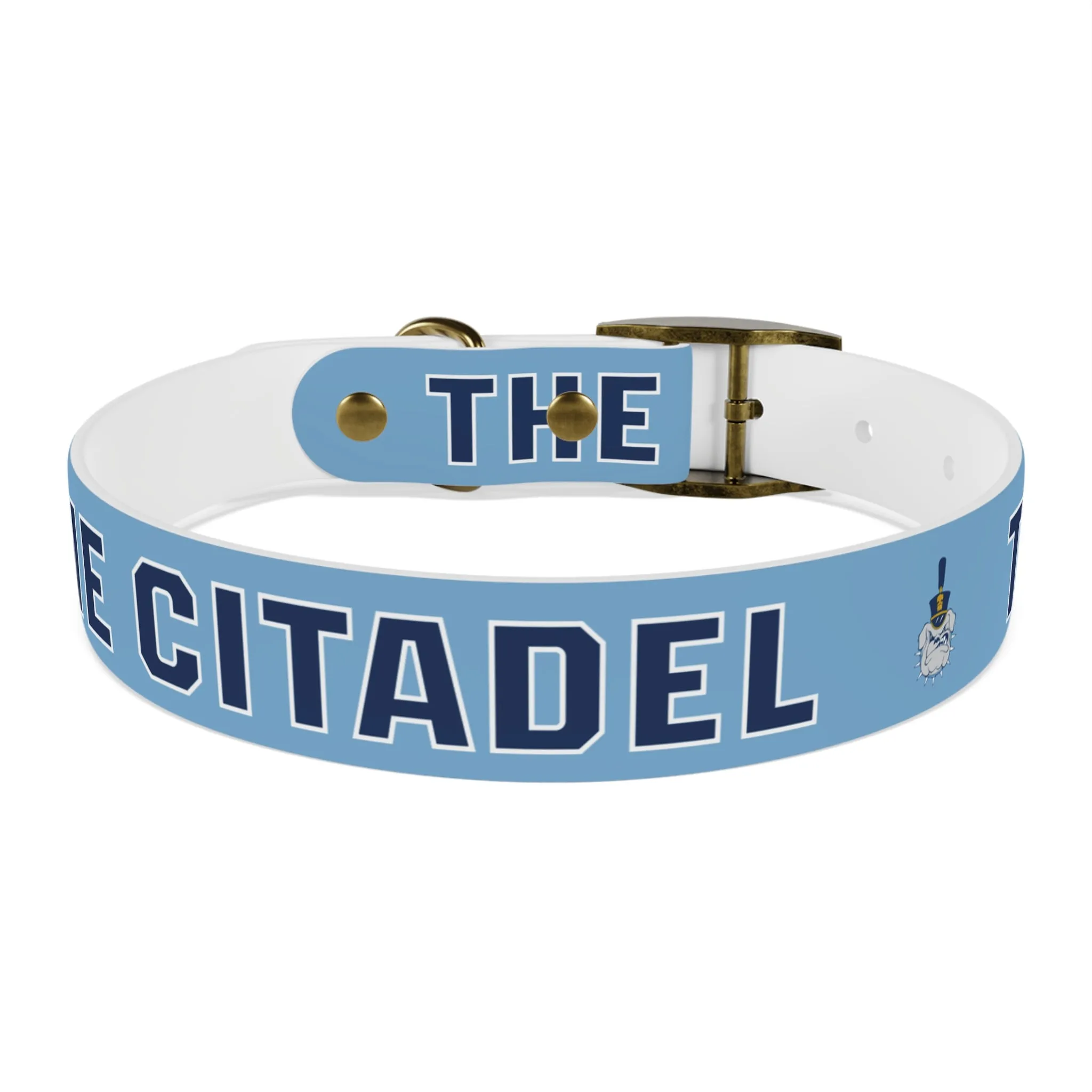 The Citadel, Spike, Dog Collar