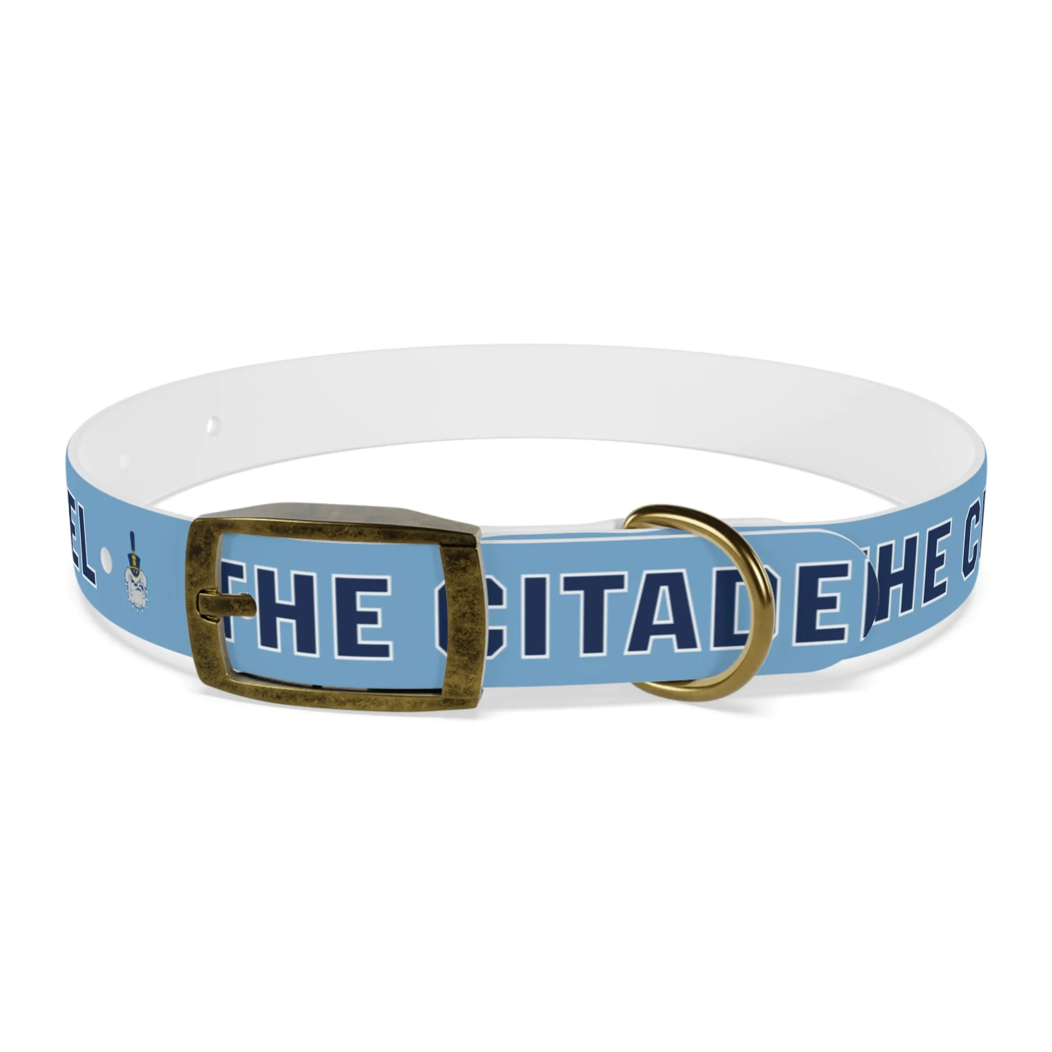 The Citadel, Spike, Dog Collar