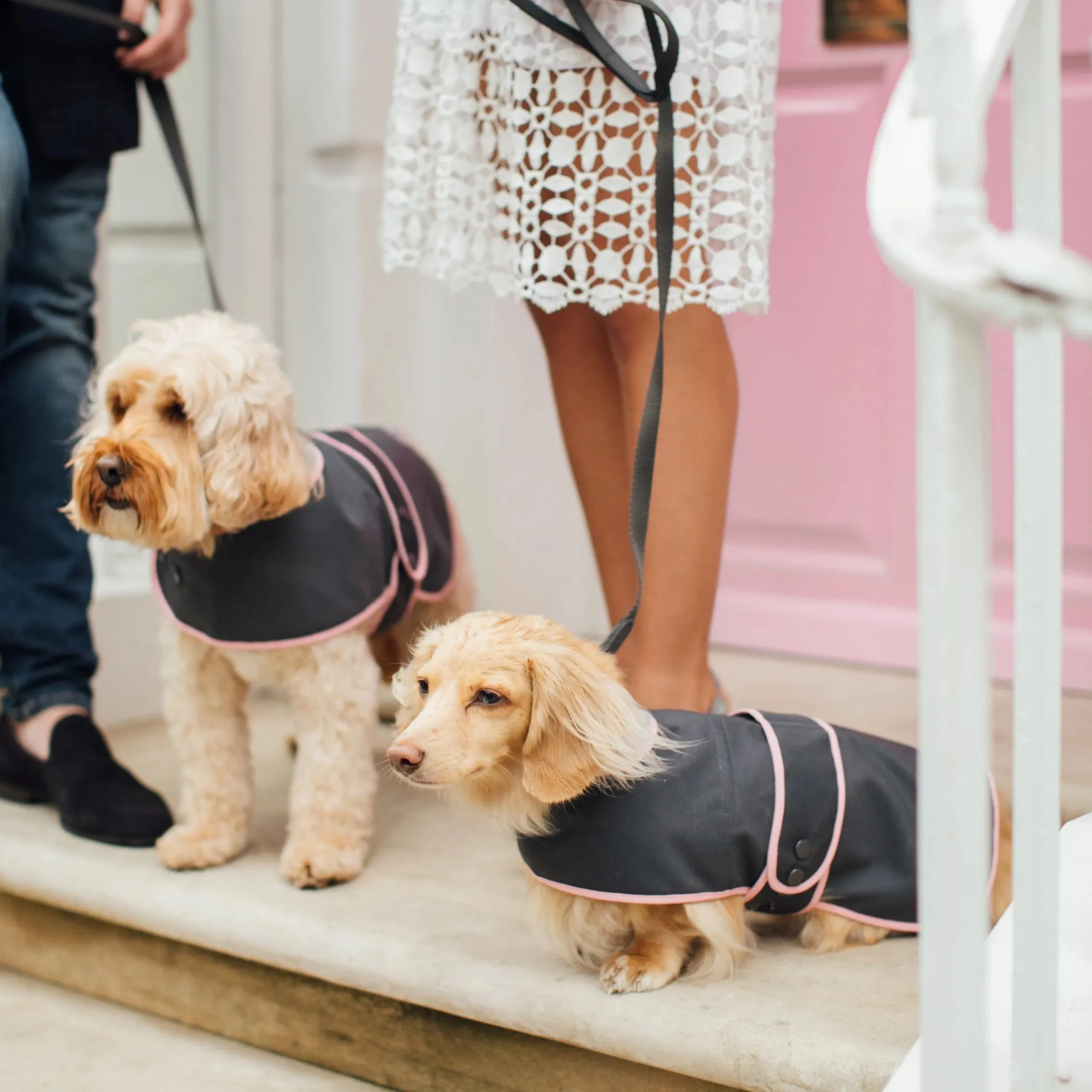 'The Melody' Grey & Pink Luxury Dog Coat