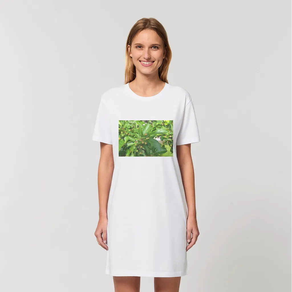 Tree with Seeds Organic T-Shirt Dress